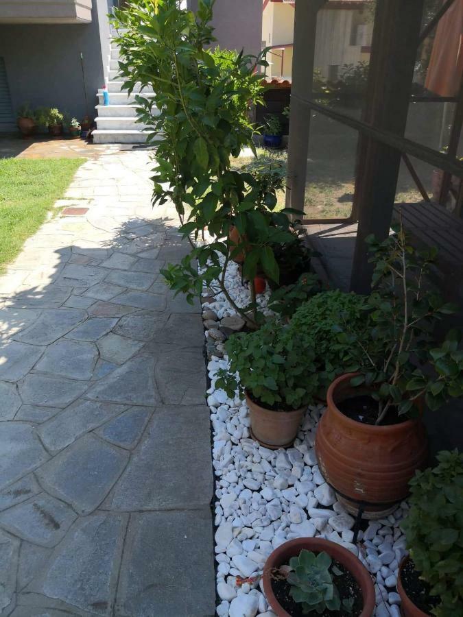 Menta Apartment Nea Iraklitsa المظهر الخارجي الصورة