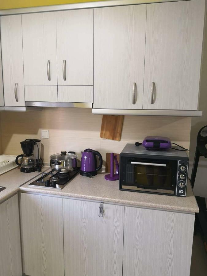 Menta Apartment Nea Iraklitsa المظهر الخارجي الصورة